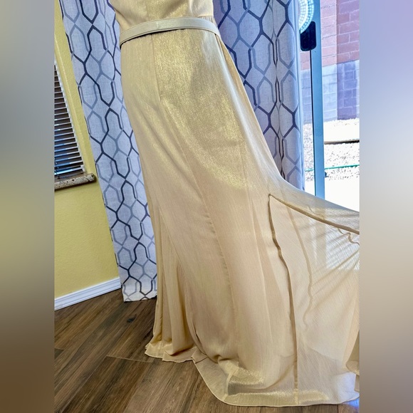 NEW! LAUREN RALPH LAUREN Gold Shimmer Strapless Evening Dress Gown - Picture 8 of 15